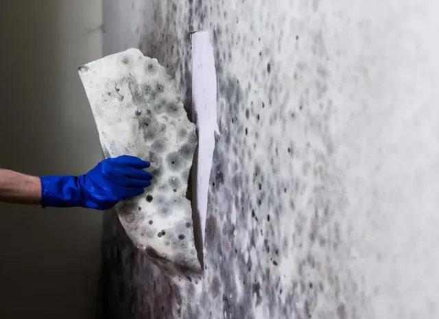 Waterproofing services