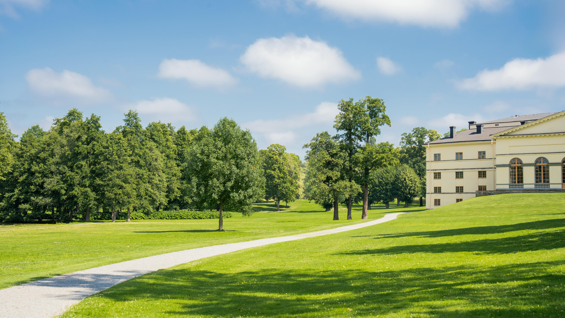 Sunny park with green lawn, trees, a winding path, and a large building on the right.