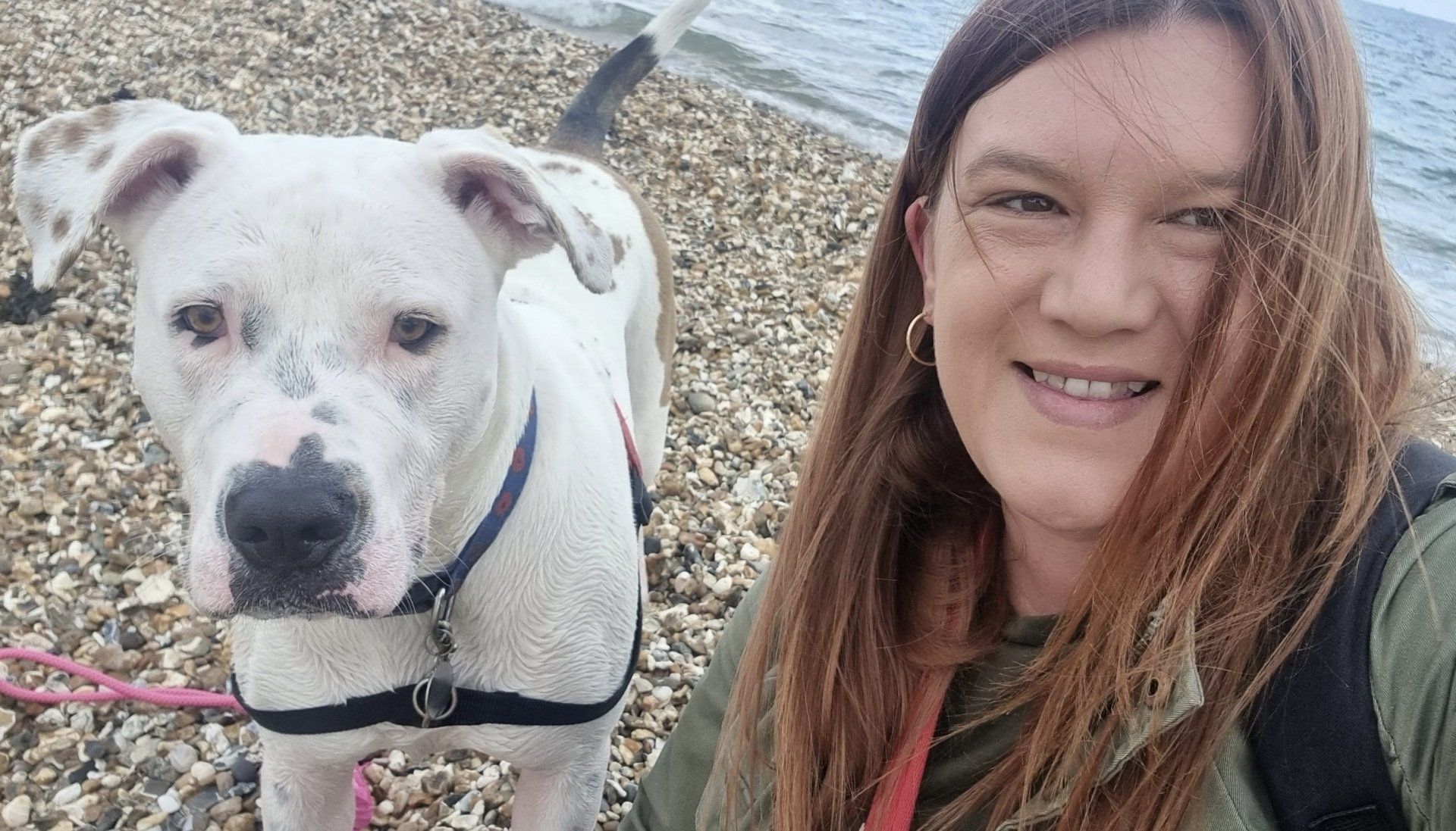 dog walker
