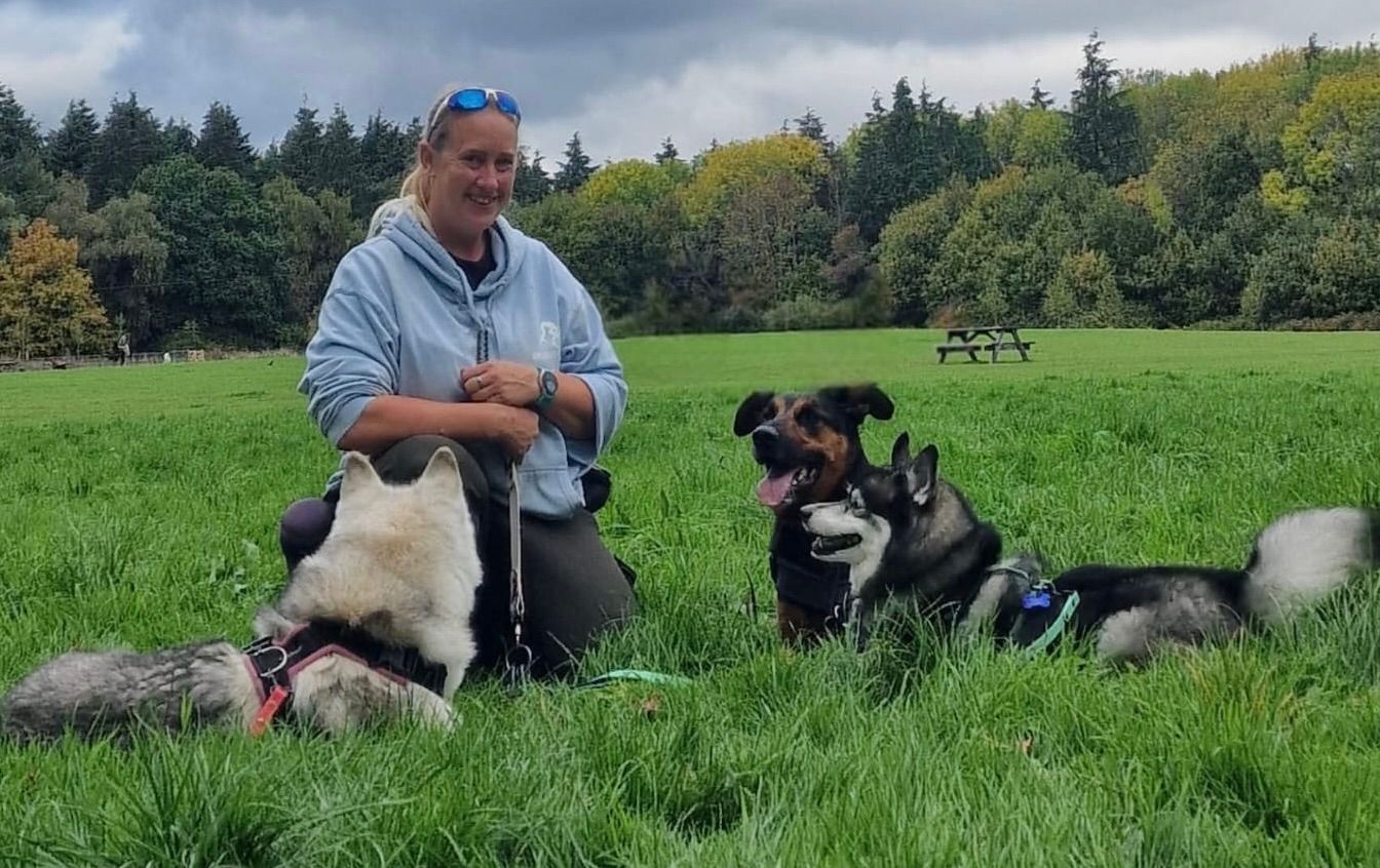 dog walker