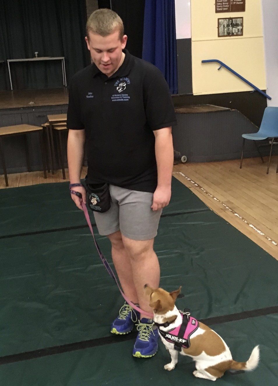 dog walker