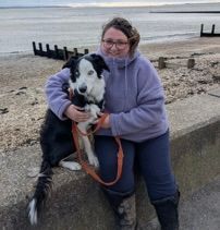 English bull dog