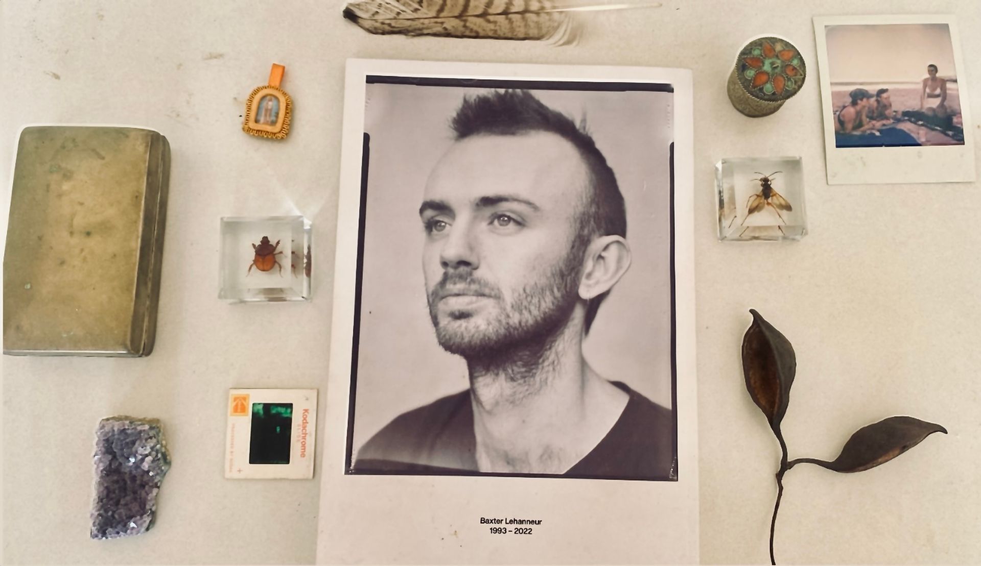 Man's portrait, surrounded by small objects on a white wall. Items include crystals, insects, and a seashell.