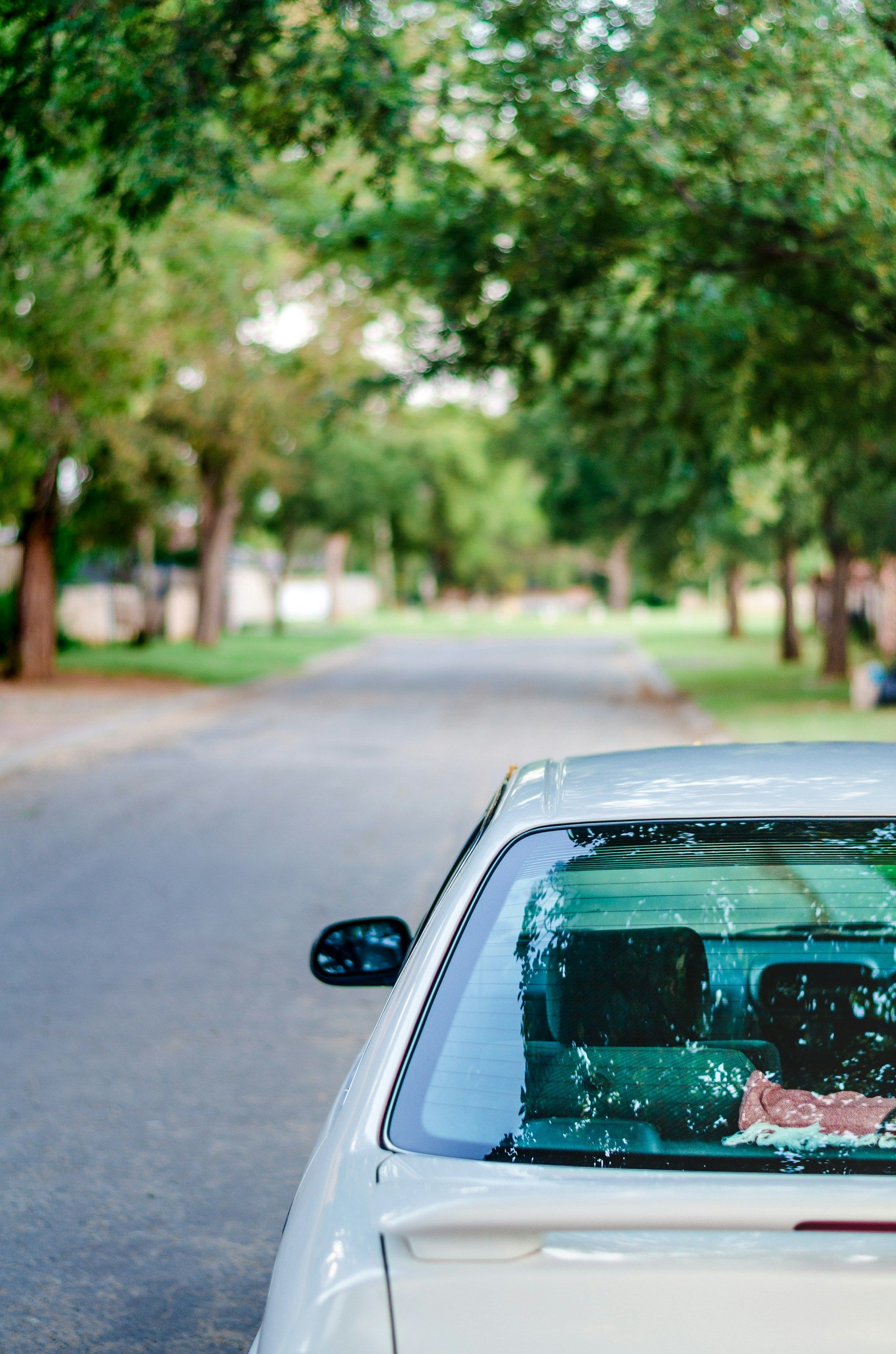 Rear view of a silver sedan on a residential street with a dog's head visible in the rear window.