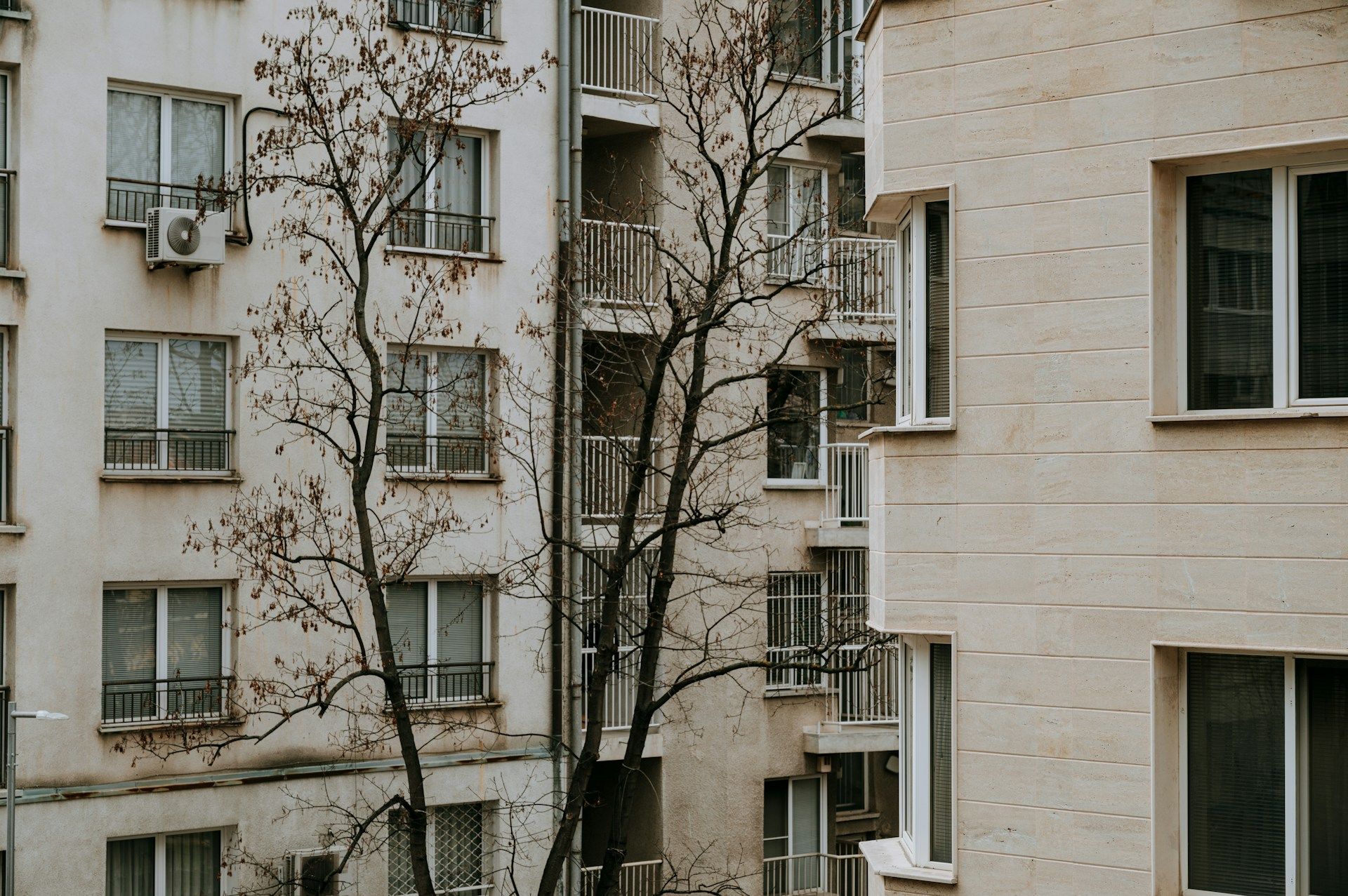 Exterior of an apartment building with bare trees in front
