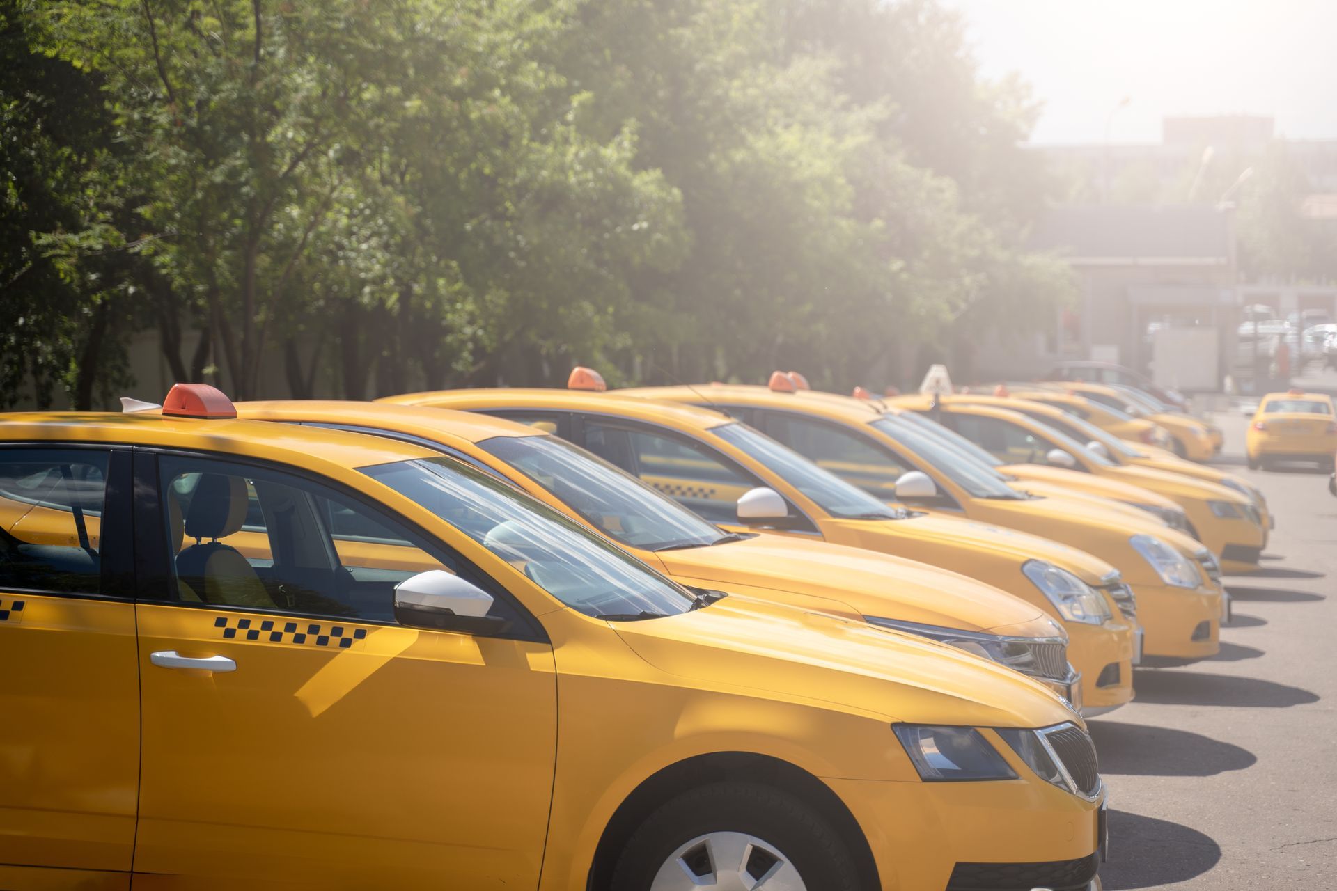 Row of yellow taxis parked outdoors on a sunny street