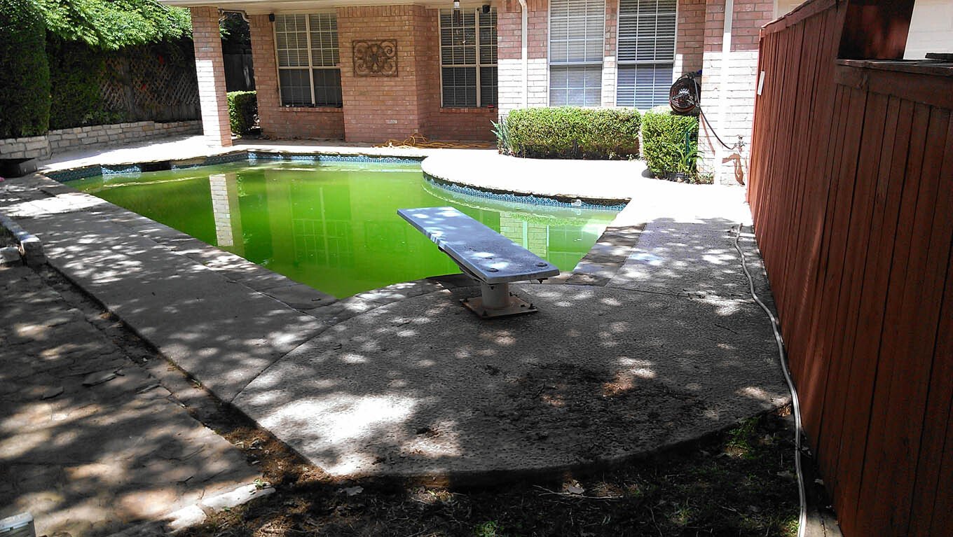 Gallery Denton Pools