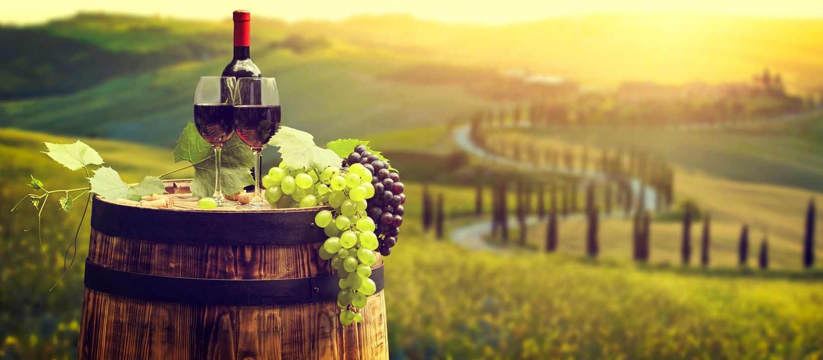 A wooden barrel with a wine bottle, two glasses, and grapes, set against a scenic, sunlit rolling vineyard landscape.