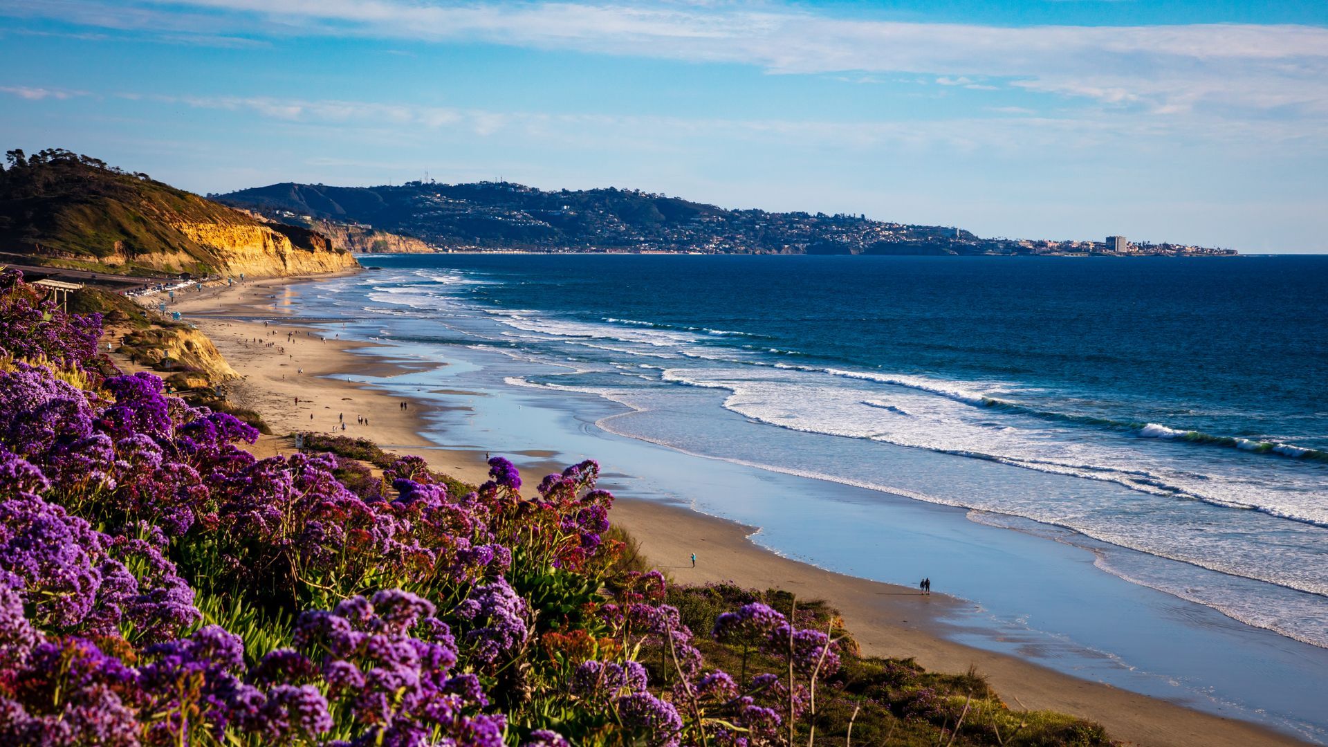 Coastal beach with rolling waves, sandy shore, and purple wildflowers in the foreground at sunset