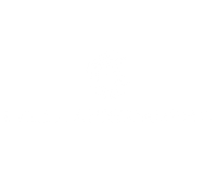 Tela bianca vuota senza alcun contenuto visibile