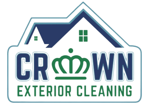 pressure washing owner