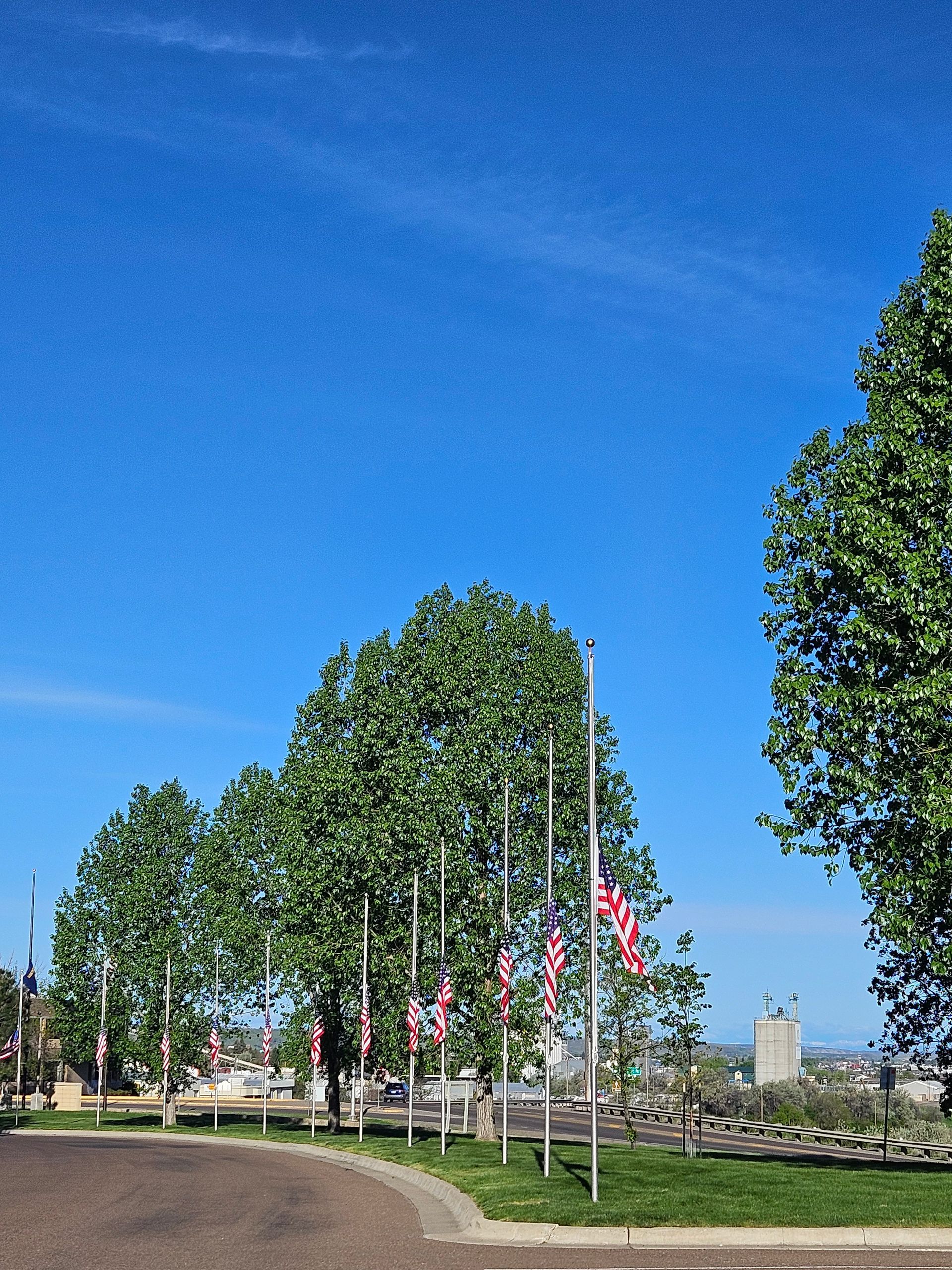 A row of trees with american flags hanging from them