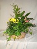 A basket filled with flowers and plants is sitting on a table.