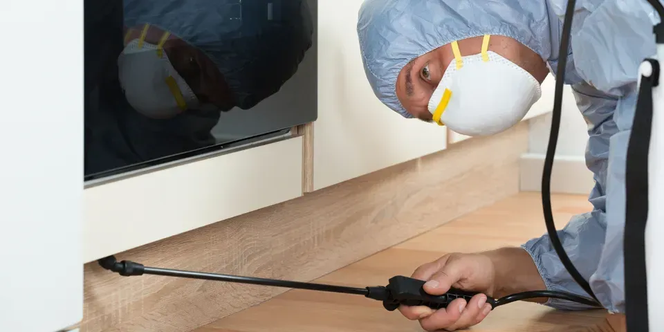 Man Looking For Cockroaches - Rush, NY - Target Pest Control