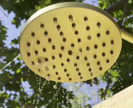 A circular shower head spraying water against a background of green trees.