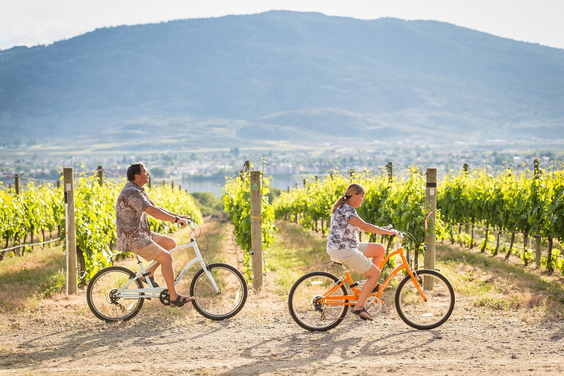 Two people ride bicycles along a dirt path through a vineyard with a mountain in the background.