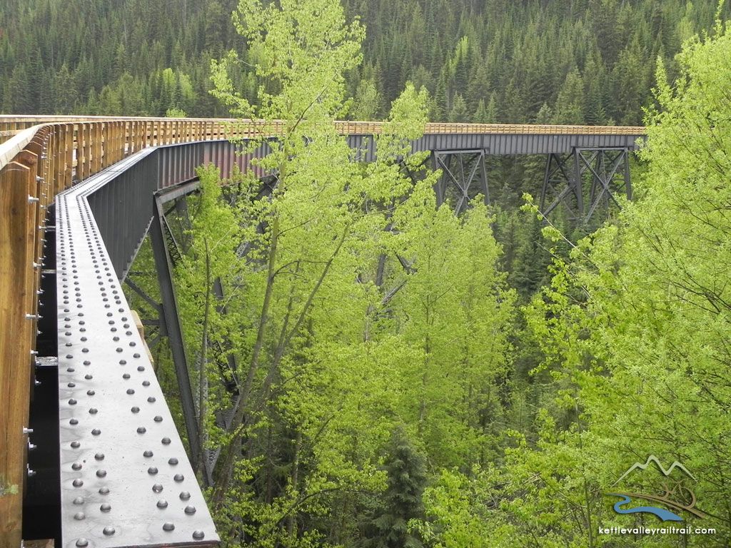 A long metal and wooden trestle bridge curves through a lush, green forest.
