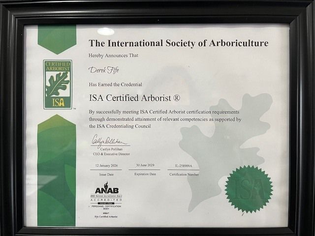 Framed ISA Certified Arborist certificate with green accents and official seals