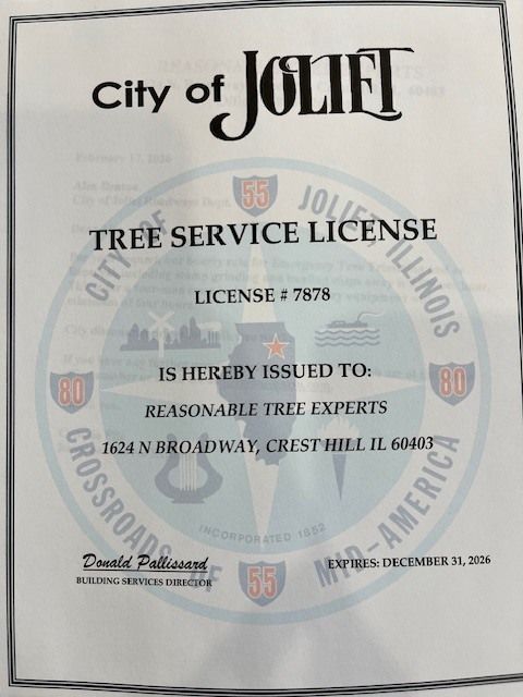 City of Joliet tree service license certificate with official seal and handwritten details