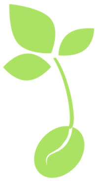 A green plant with three leaves growing out of a seed.