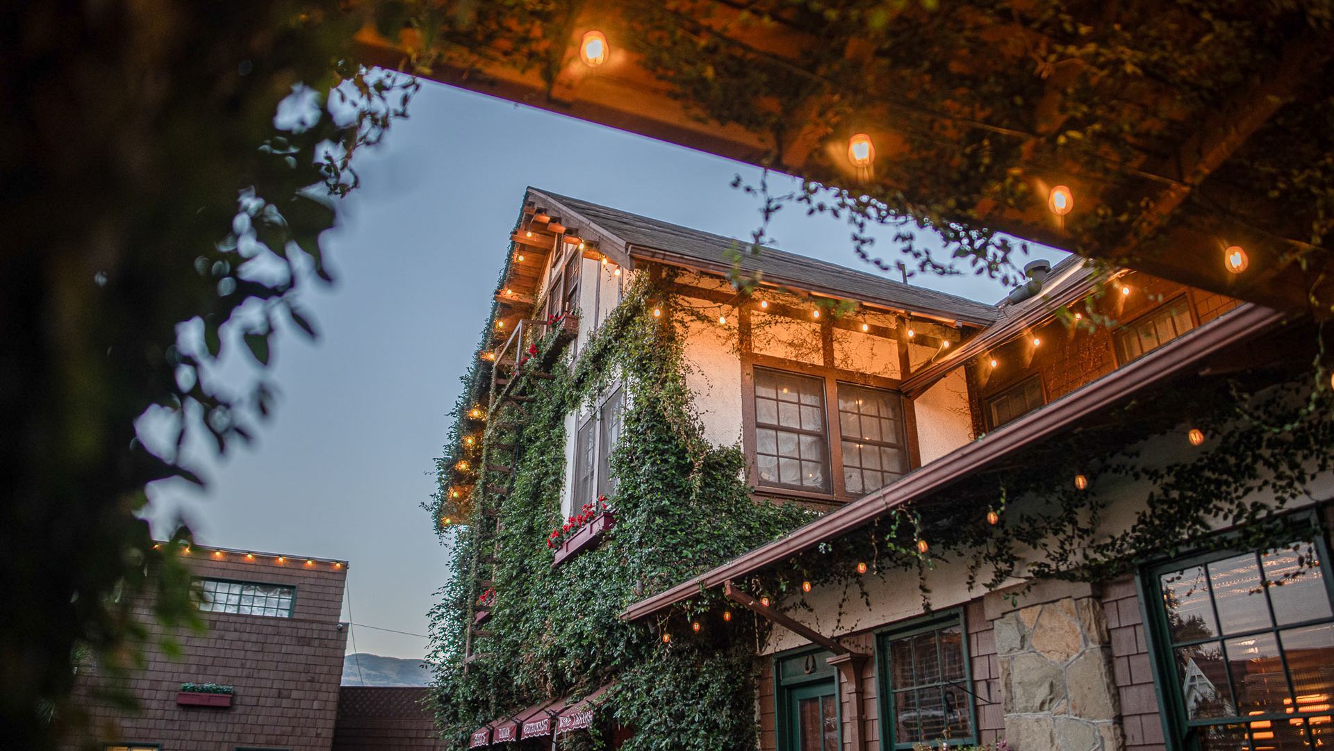 Ivy-covered building with string lights, viewed from below a wooden structure against a dusk sky.
