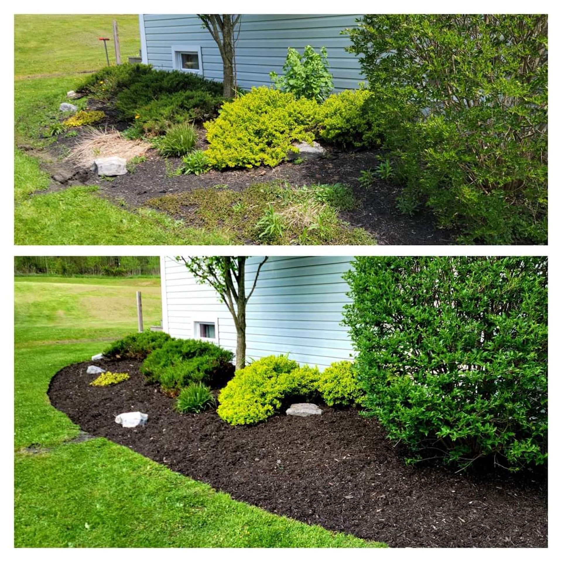 A before and after picture of a lawn with mulch and shrubs.