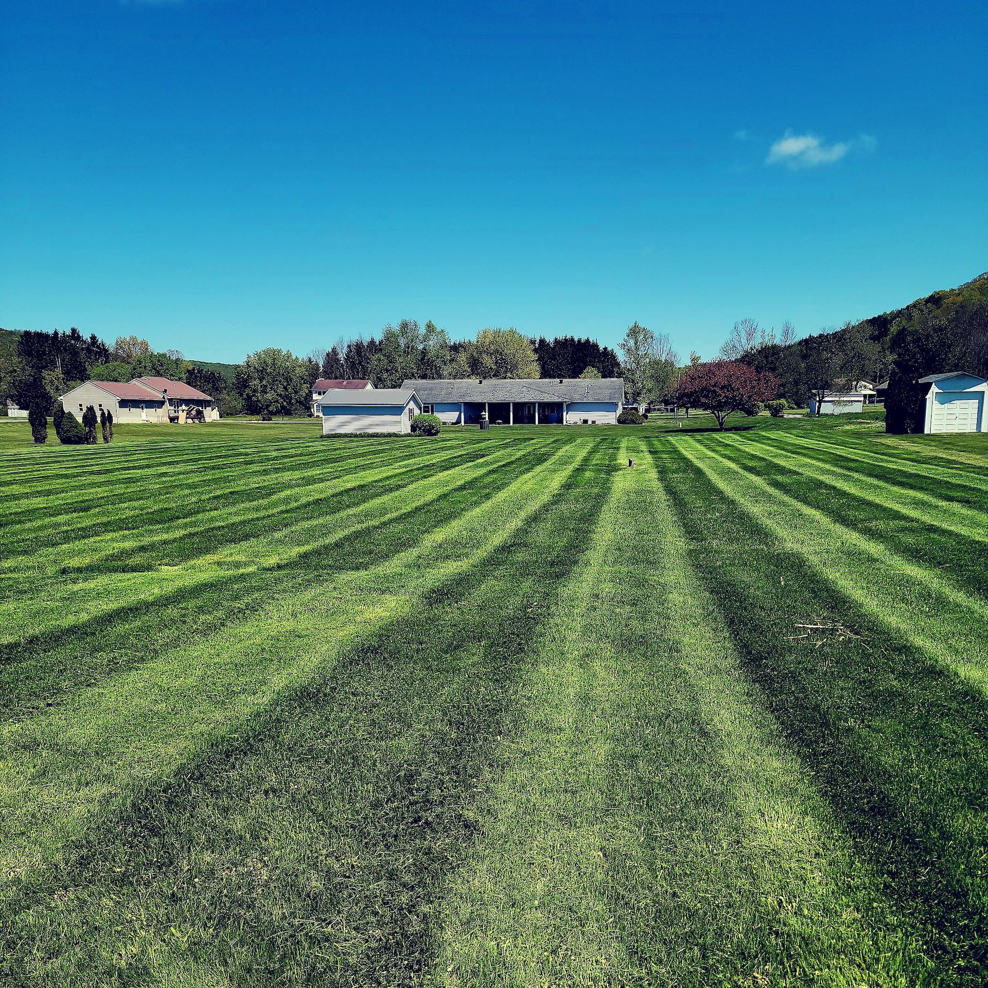 A lush green field of grass with a house in the background.