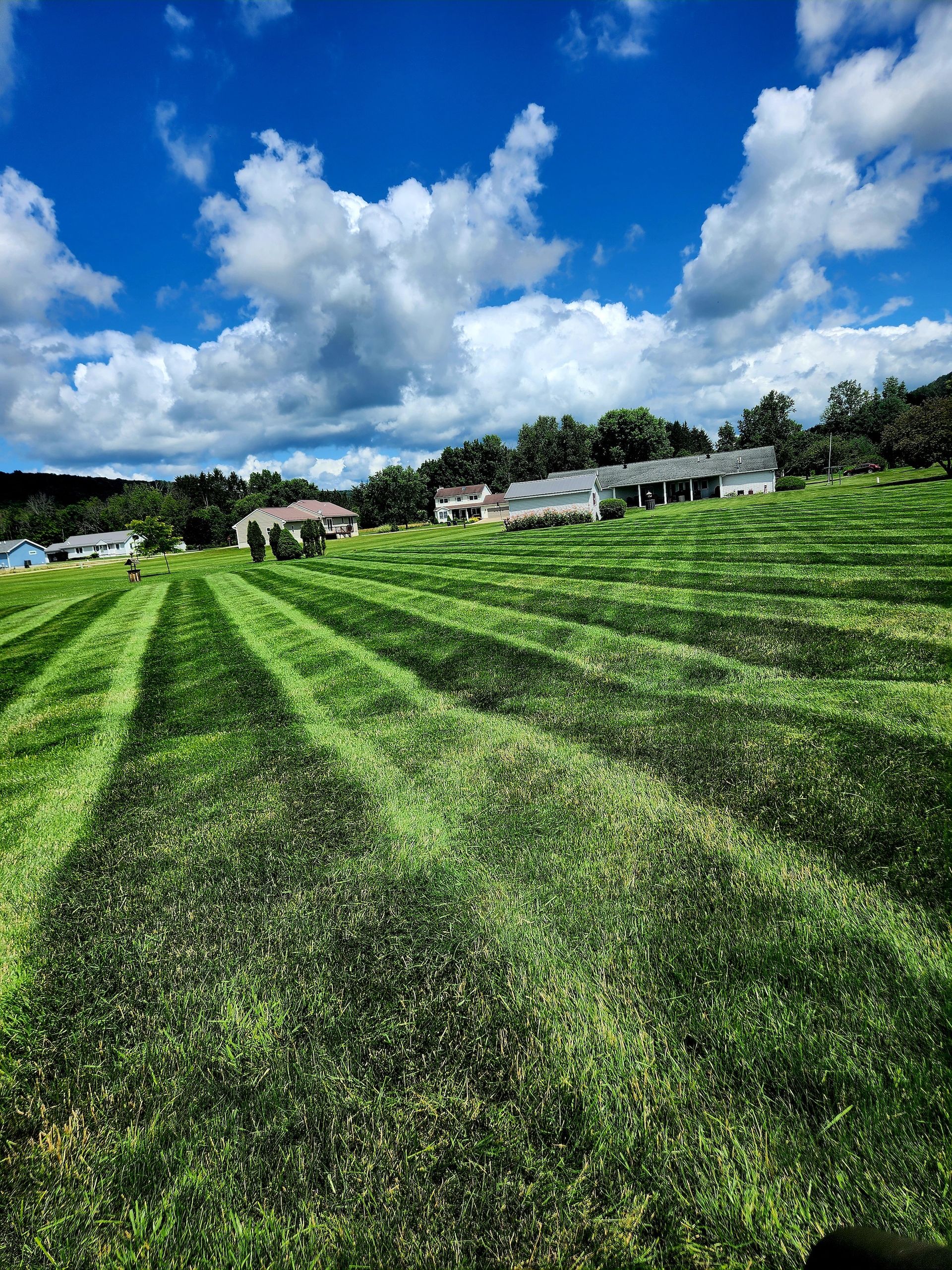 A lush green field of grass with a blue sky and clouds in the background.