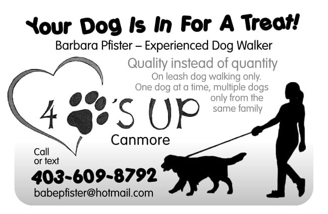 4 Paws Up, your local dog walker.