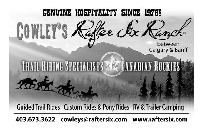 horse riding and more for the whole family