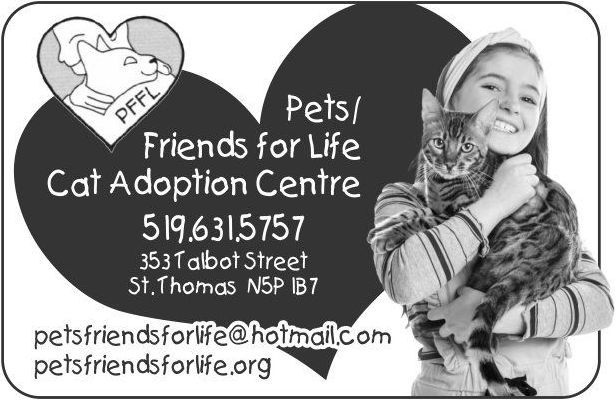 Pets Friends For Life