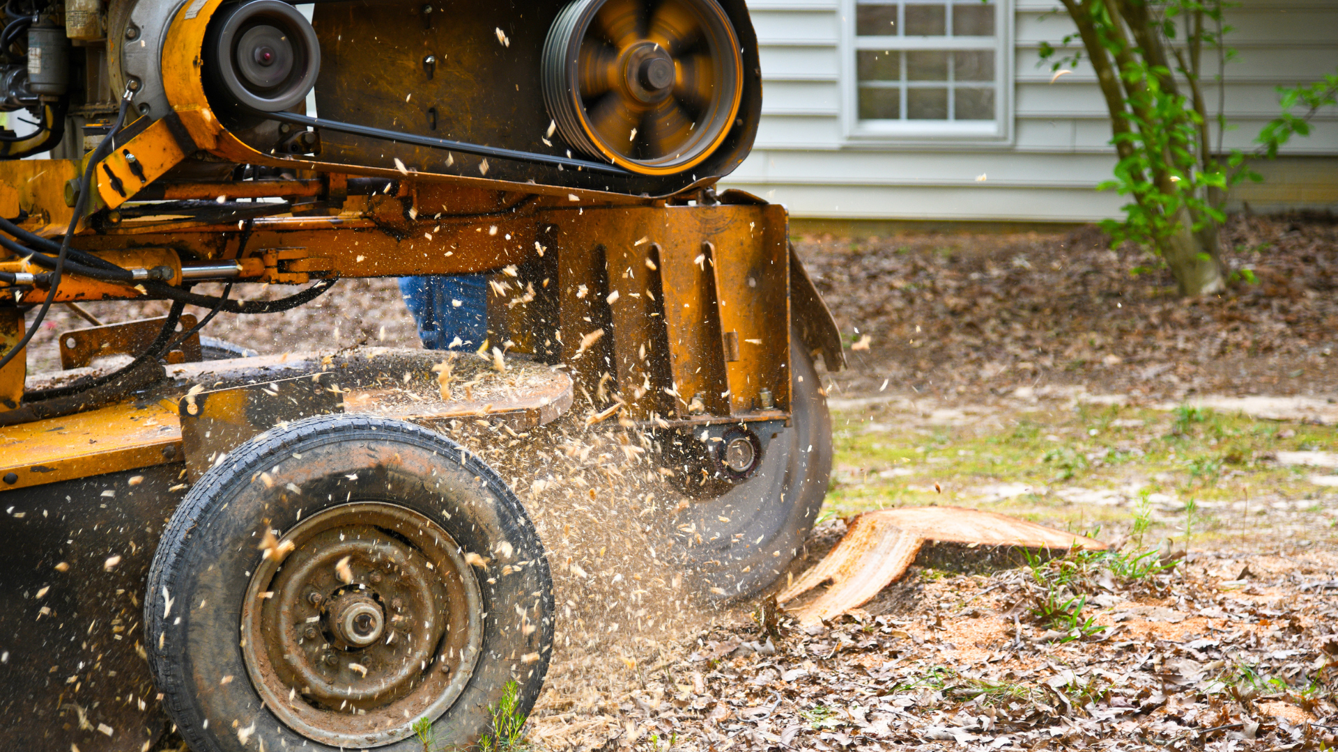 Yellow wood chipper ejecting wood chips onto a driveway beside a house