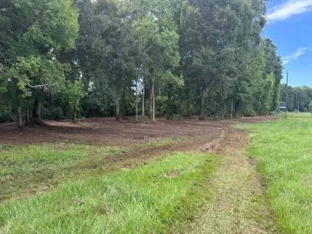 Grassy field beside a wooded area under a blue sky, with a dirt path curving along the edge