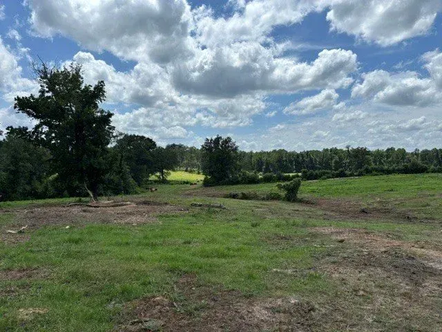 Open grassy field with dirt patches under a cloudy blue sky, bordered by trees.