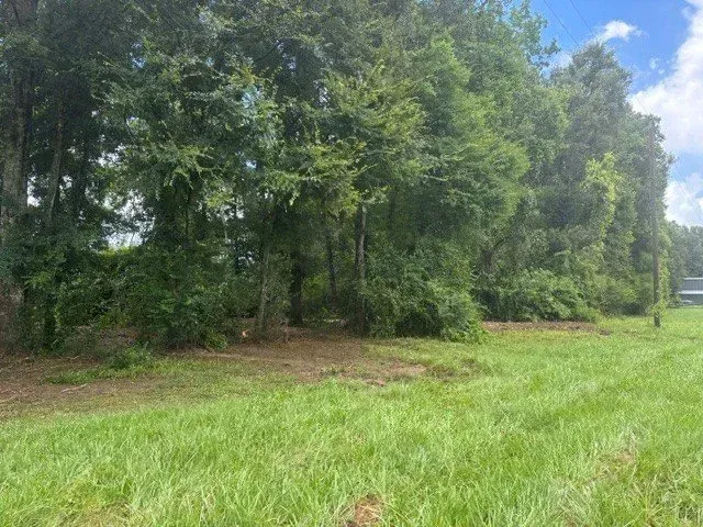Grassy field beside dense green trees under a partly cloudy blue sky