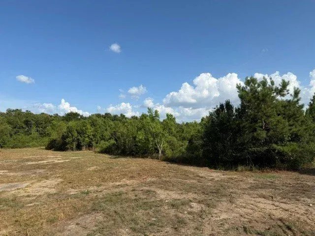 Open grassy clearing with trees and bushes under a bright blue sky with scattered clouds