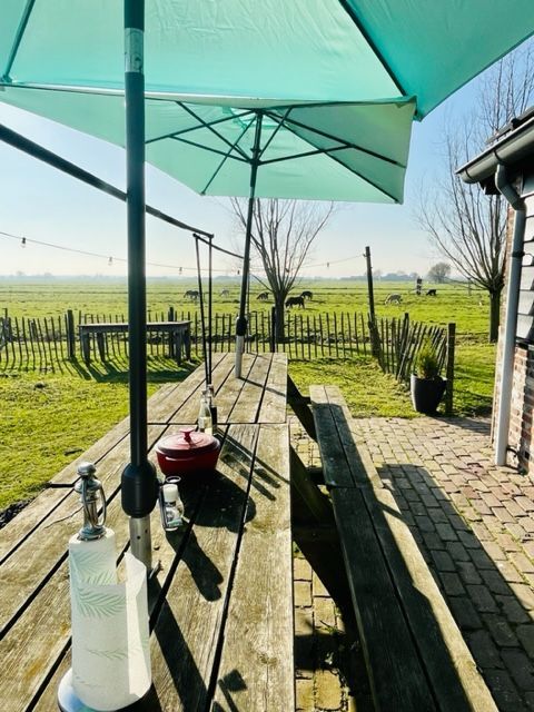 Picknicktafel onder een turquoise parasol, met uitzicht op een groen veld met een houten hek.