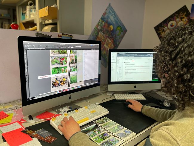 thomas graphic designer