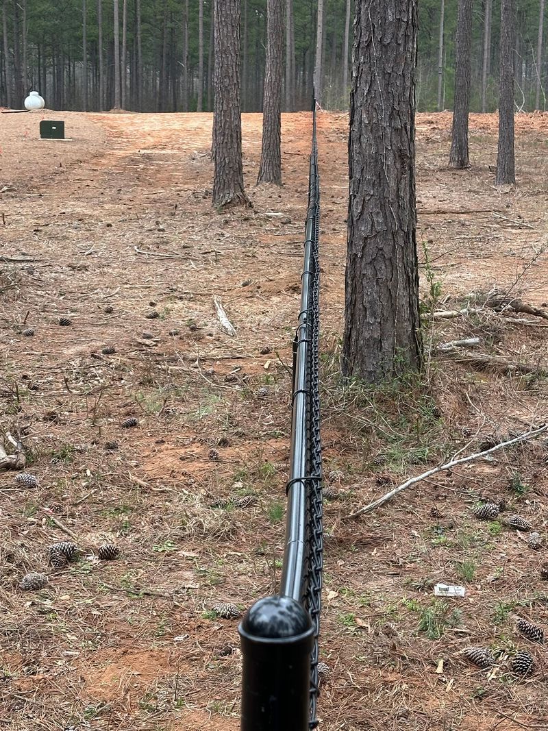 Black railing along a tree line, in a wooded outdoor area.