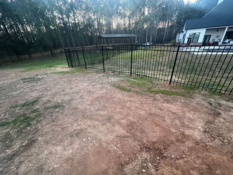 Black metal fence encloses a backyard with dry grass. Trees and a house are in the background.