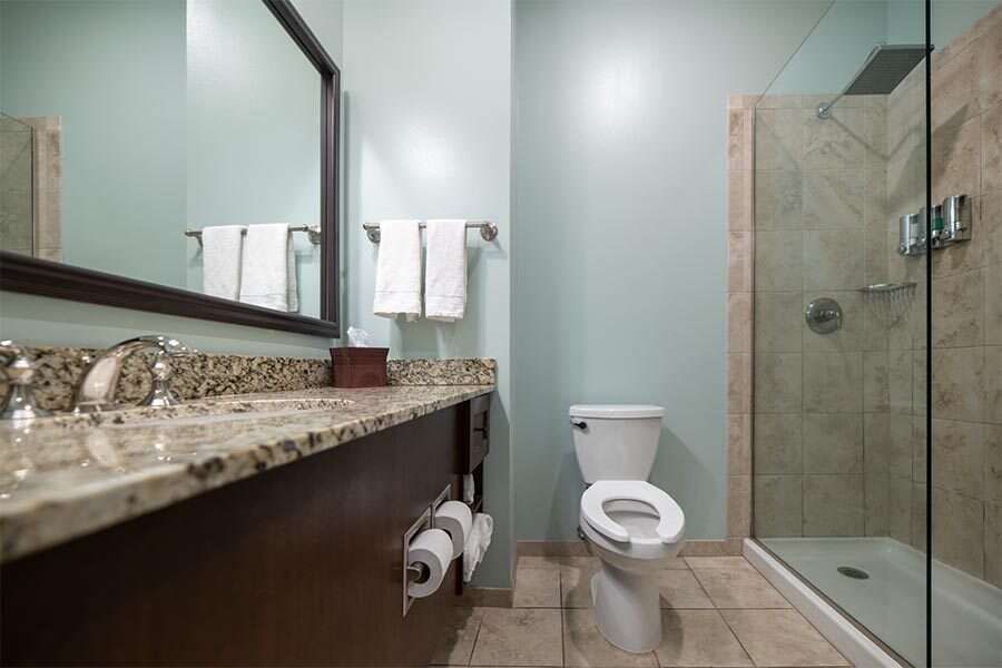 Bathroom with a toilet, shower, vanity with mirror, and light blue walls.
