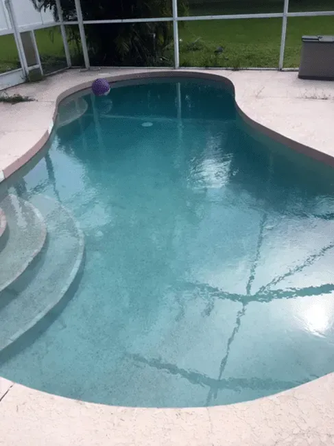 Curved backyard swimming pool with clear blue water and white deck, viewed from above