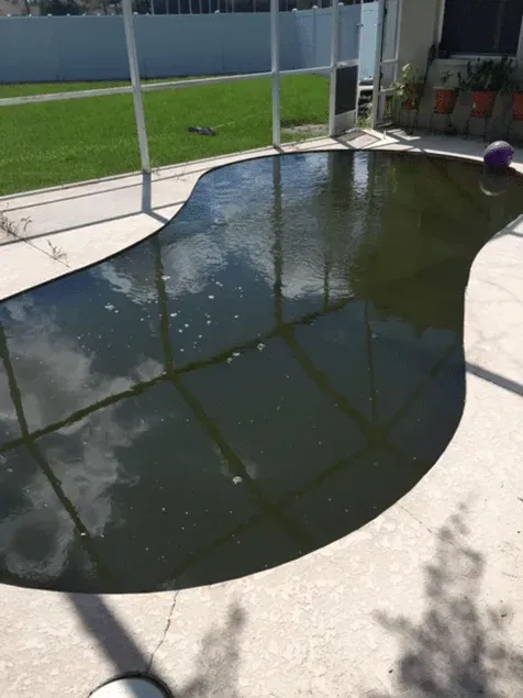 Small dark backyard pool beside a screened patio and concrete deck, with sunlit reflections on the water.