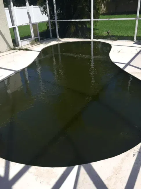 Empty dark pool or water tank beside a concrete deck and metal railing outdoors.