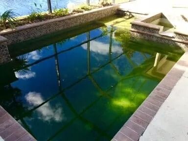 Small reflective pool with greenish water beside a tiled walkway and stone border.