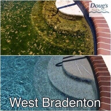 Before-and-after pool cleaning: algae-covered pool beside a brick deck, then clear blue water in West Bradenton.