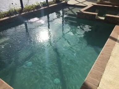 Sunlit backyard swimming pool with green-blue water and stone coping, viewed from the side