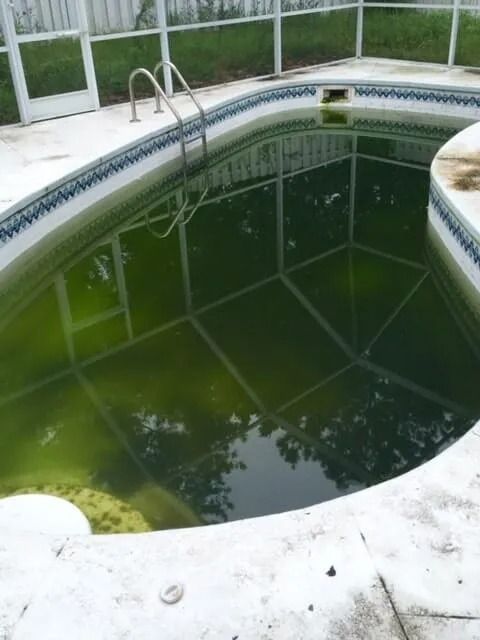 Green murky indoor pool with a curved white edge and metal ladder near glass doors