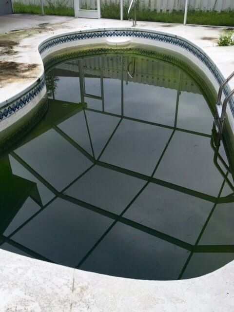 Green pond water in a curved concrete basin with reflections of overhead structure.