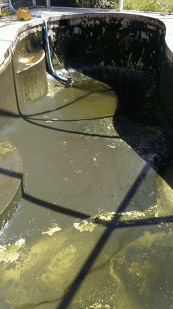 Empty, worn concrete pool or skate bowl with greenish water and strong shadows.